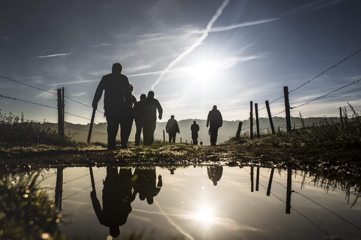 Groep wandelaars op veldweg met mistig landschap op de Gulpenerberg met op de voorgrond een poel water
